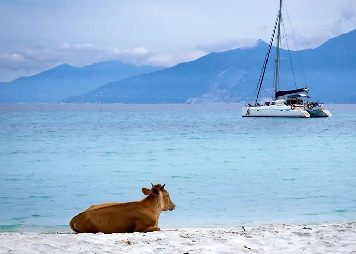 Casa Di Pia, Demeure Corse Du Xixeme *