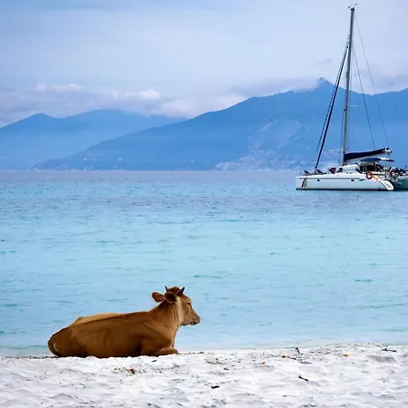 Casa Di Pia, Demeure Corse Du Xixeme *